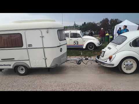 Pécel Bogarak 2019.09.07