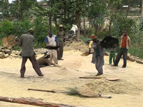 Spreu vom Weizen trennen