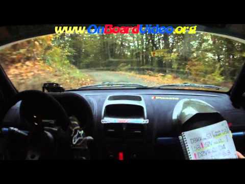 Cameracar 20°Rally Pietra di Bagnolo 2013 Rivoir-Vola Renault Clio Rs N3 PS3