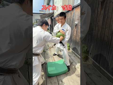 【武道・武術】スイカを寸勁で割れるか！？やってみた！！#aikido  ＃karate #martial #武道 #空手＃筋トレ