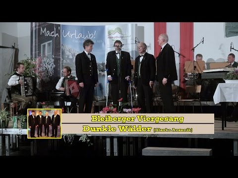 Bleiberger Viergesang - Dunkle Wälder - Begleitung  - Gottfried Hubmann & Loui Herinx