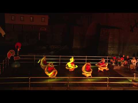 Colombian folk dance: Puya, Congo, Baile negro, Mapalé