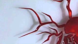 Negramaro - Dopo di me.m4v