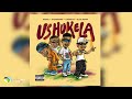 Audiomarc And Qwellers Ushukela Feat Blue Pappi Sastii And Lowfeye Official Audio