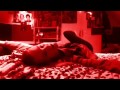 Glowing The Script-Music Video