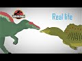 Real life Spinosaurus meets Spinosaurus from Jurassic Park! Pivot Animation Dinosaur