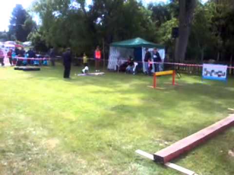 Ploukonice 2014 -mladší děti Žehrov- štafeta