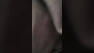 Ｕｓｅｌｅｓｓ　ｍｅｍｏｒｉｅｓ