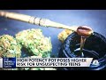 Experts worry next-gen pot products can cause psychotic episodes