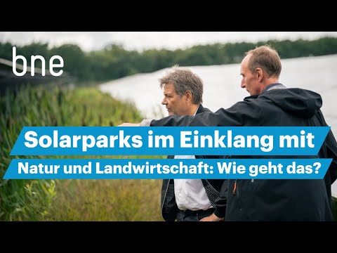Biodiversitätsfördernde Solarparks - Energieerzeugung, Landwirtschaft und Naturschutz Hand in Hand
