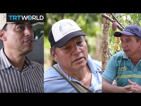 Money Talks: Colombia's drug triangle shifts to chocolate