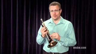 Video thumbnail for Musician's Friend/Woodwind & Brass Allora Flugelhorn AAFG-103F by The Brainyard