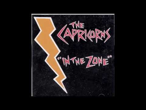 The Capricorns - Nintendo Song