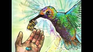 Tera Melos - &quot;Aped&quot;