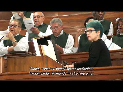 463 HCC - O meu coração sofredor