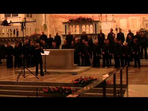 Nobody Knows the Trouble I've Seen sung by Chor Leoni