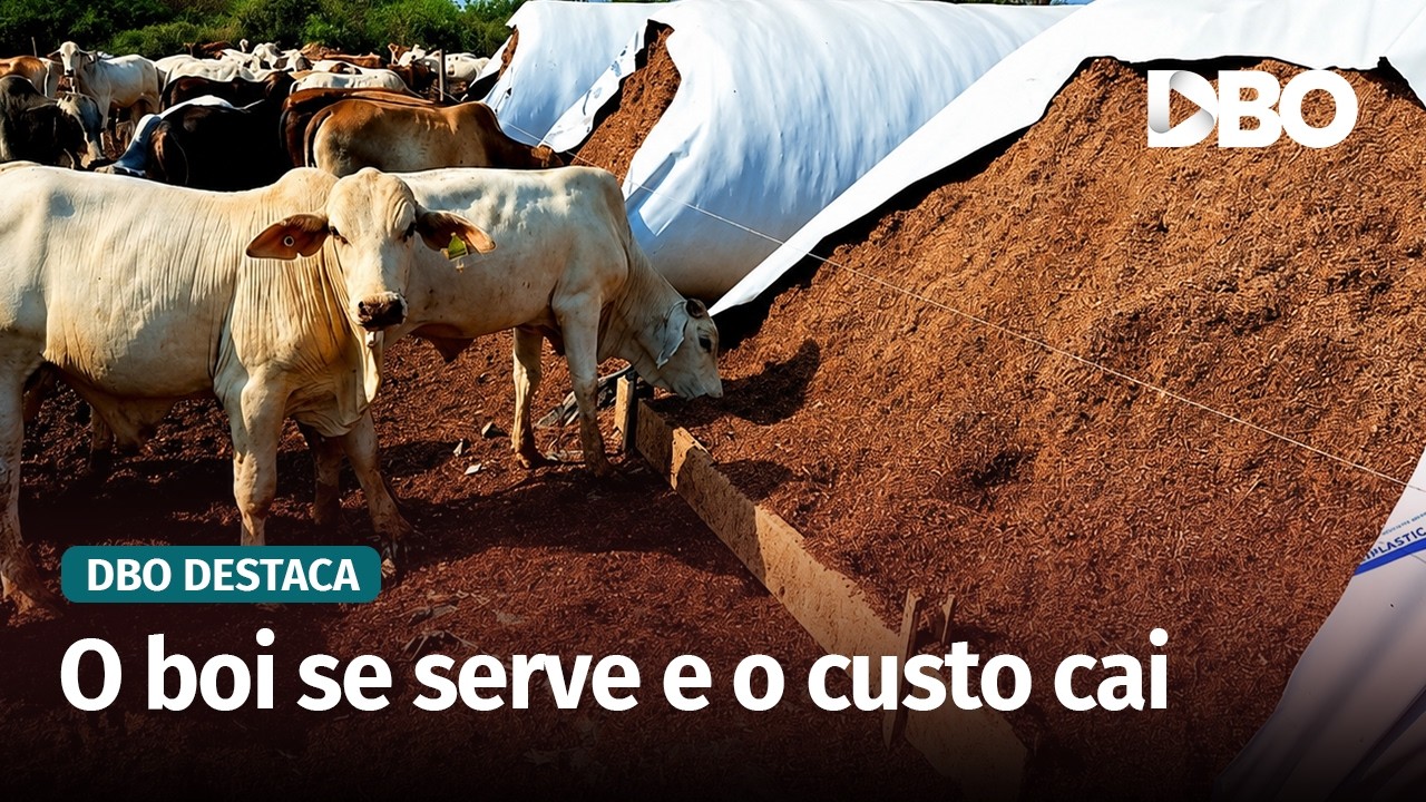 Por que mais produtores estão adotando o self-service para bovinos?