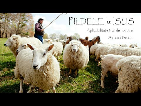 Studiu Biblic #21 Pilda „Oile și caprele”