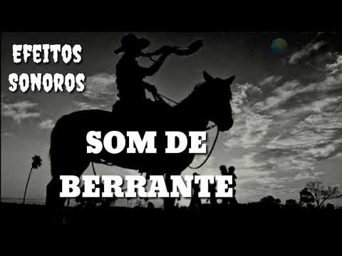 Som de Berrante