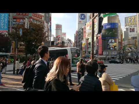 The Famous Shibuya Crossing in Shibuya, Tokyo, Japan