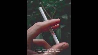 Download lagu Story wa jawa kekinian // Tangi dinggo kerjo , muleh dinggo turu , ibadah dinggo ahirat. mp3 Download lagu Story wa jawa kekinian // Tangi dinggo kerjo , muleh dinggo turu , ibadah dinggo ahirat. mp3