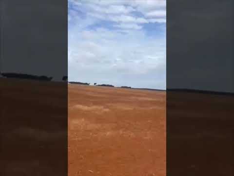 Fazenda à venda - São Pedro do Ivai
