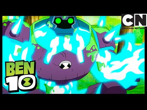 Equipe Tennyson procura o Pomar Blushing | Tim Buk-TV | Ben 10 | Cartoon Network