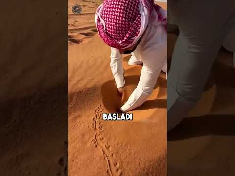 Çölün Ortasında Gizemli İz: Kumun İçinde Yüzen Canlı! 🏜️