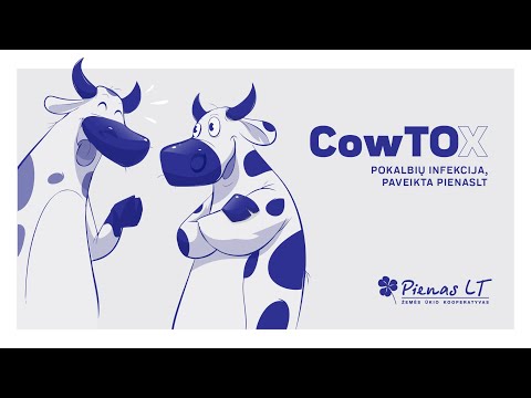 kiborgo prekybos strategija paaiškinti trikampę prekybos sistemą