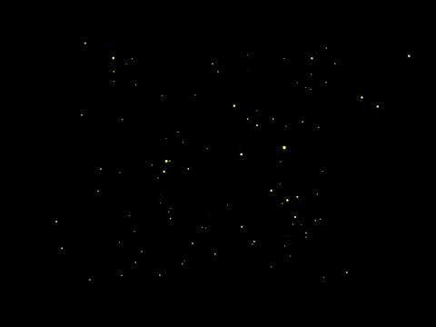 4K Fireflies / Firefly Effect - Black background then green screen