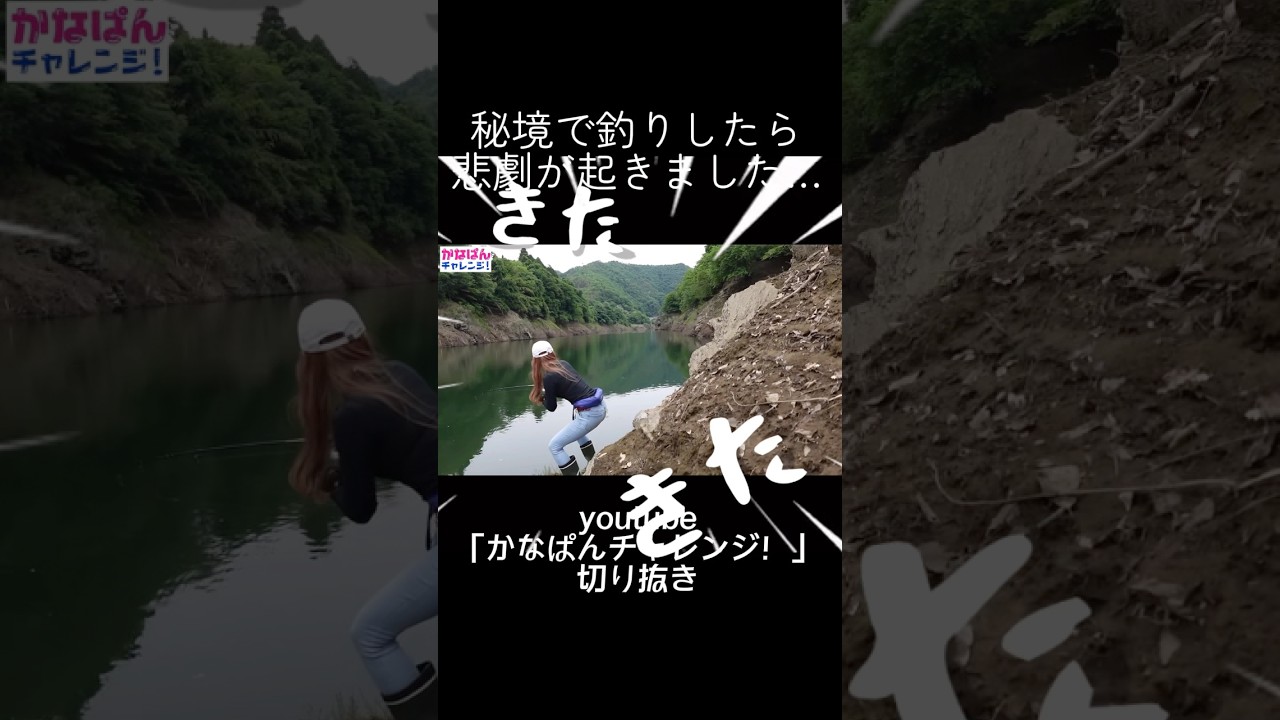 ひとり秘境へ釣り行ったら悲劇が… #fishing #釣り #バス釣り #fishingtips