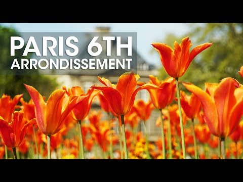 Paris 6th Arrondissement - 20 in 20 Paris Day 6 - Saint Germain des Pres and Jardin de Luxembourg 🌷