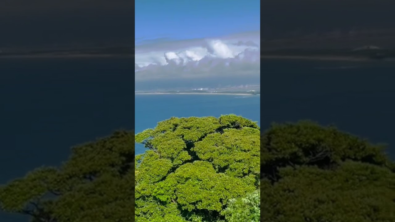 YouTube Short thumbnail