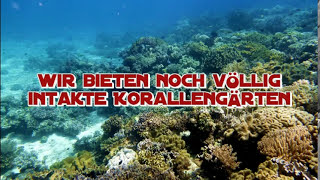 preview picture of video 'Unterwasserwelt Philippinen. Tauchen Sie mit uns ab!'