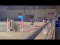 Poney de sport CSO