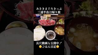 【みさきまぐろきっぷ】グルメ、温泉、海🐟日帰り旅VLOG #みさきまぐろきっぷ#ソロ活#日帰り旅