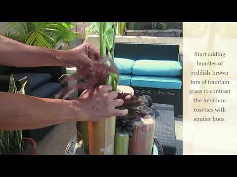 How to create patio table centerpiece using banana tree cuttings.
