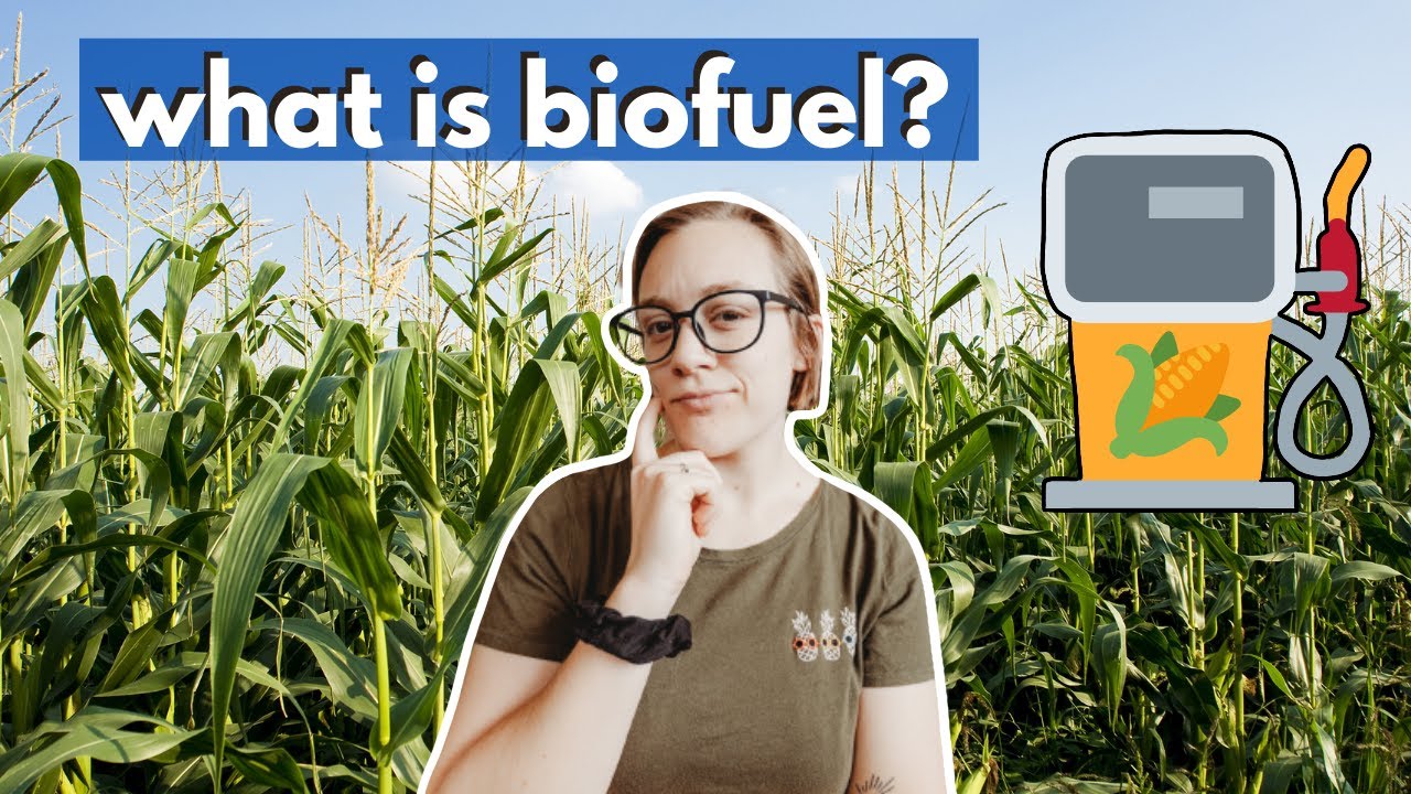 BIOFUEL VS OIL (what is biofuel and will biofuel stop climate change)