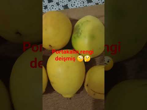 #crochet portakal sararmış #portakal suyu 🧐🤔💯