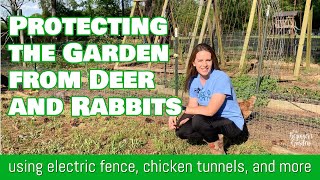 How We Protect Our Garden from Deer and Rabbits
