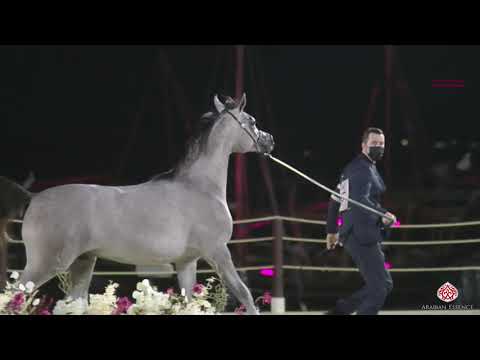 Muranas Nader wint in Qatar