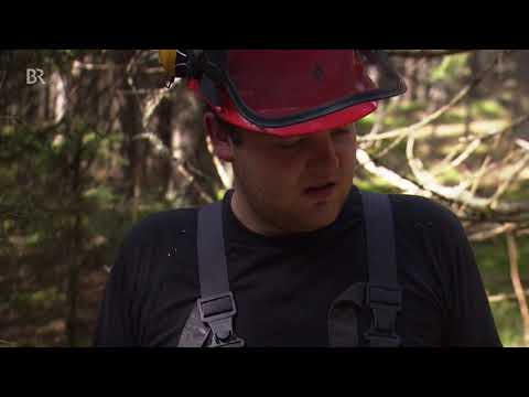 Max Grünzinger / Frohes Schaffen!!