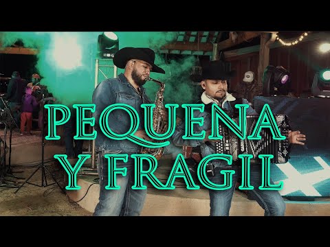 La Reserva Nortena - Pequeña y Fragil (En Vivo) #norteñas #norteñasconsax #cumbias #cumbia