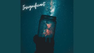 Insignificant Music Video