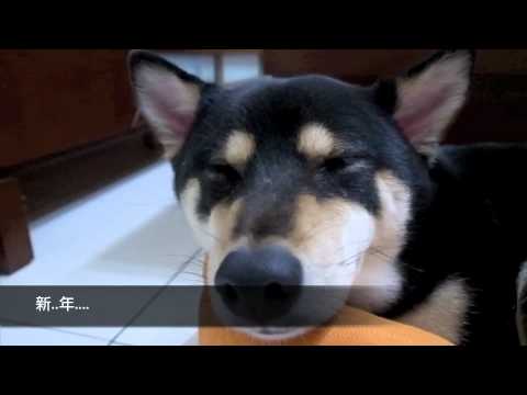 喜姆祝大家新年快樂唷(原發表者:喜姆爸)(影片)