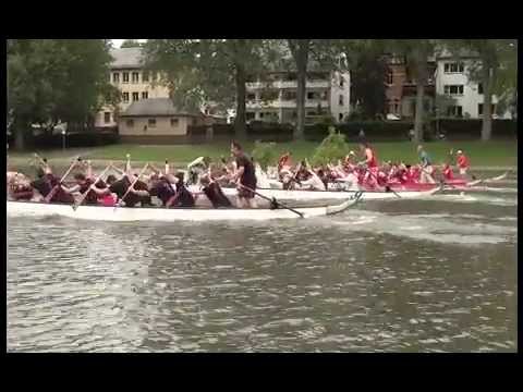 Schängel-Cup lockte Drachenboote auf den Rhein