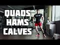 Quads Hams Calves