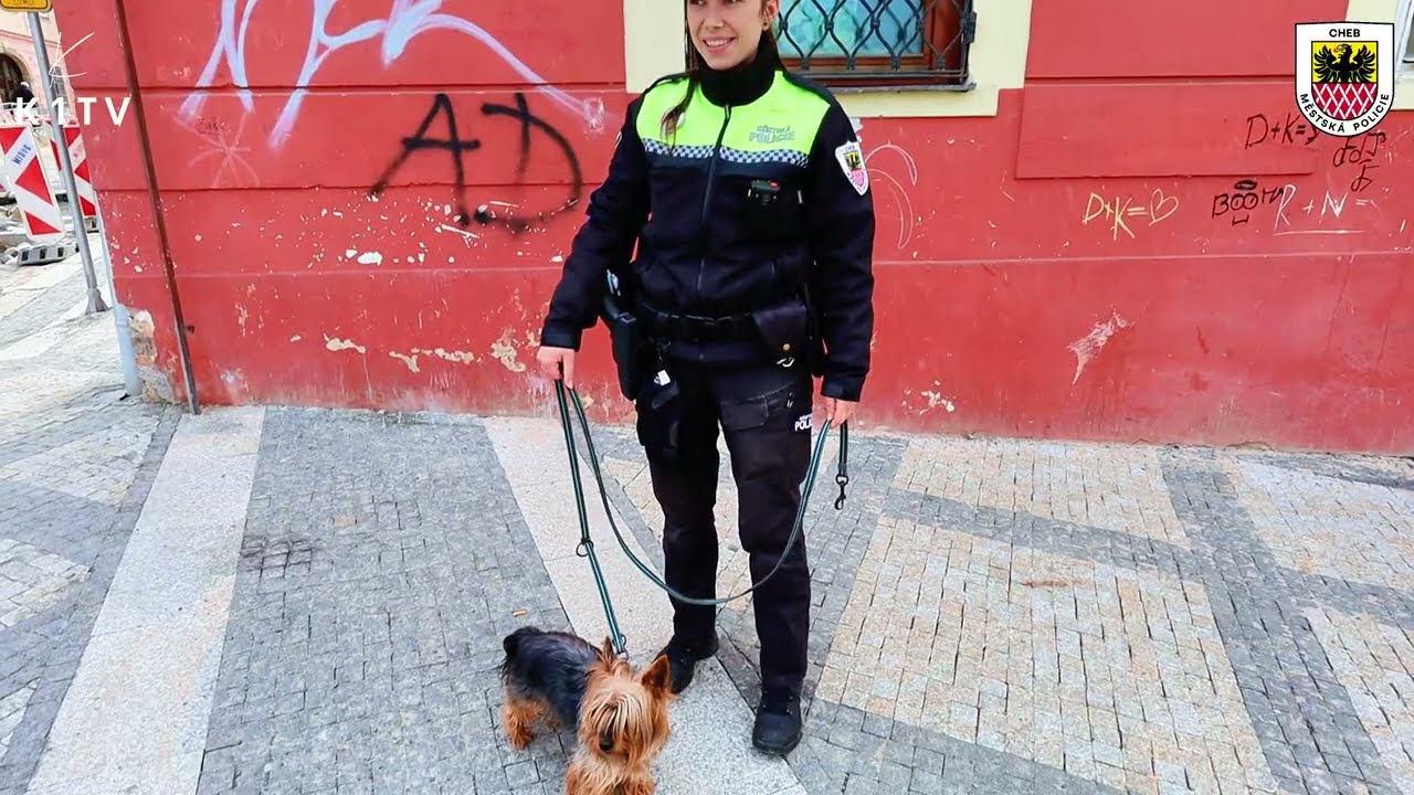 Mít pejska je radost, ale ve městě to má svá pravidla 🦮🐕‍🦺🐶