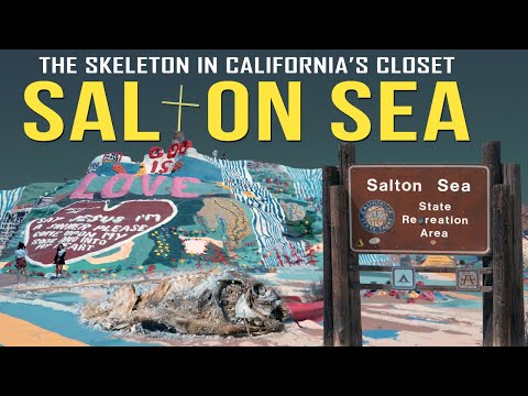 The Salton Sea: Real Life Sandy Shores