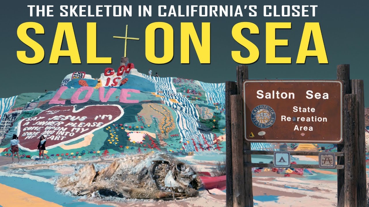 The Salton Sea: Real Life Sandy Shores